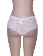 Floral Lace High Waist Sexy Panty by My Secret Drawer® mysecretdrawer.at 71