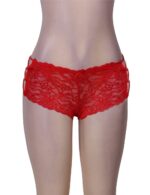 Floral Lace High Waist Sexy Panty by My Secret Drawer® mysecretdrawer.at 73