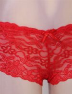 Floral Lace High Waist Sexy Panty by My Secret Drawer® mysecretdrawer.at 75