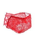 Floral Lace High Waist Sexy Panty by My Secret Drawer® mysecretdrawer.at 76