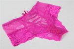 High Waist Lace Panty by My Secret Drawer® mysecretdrawer.at 50