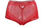Sexy High Waist Panty by My Secret Drawer® mysecretdrawer.at 55