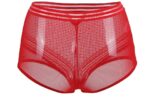 Sexy High Waist Panty by My Secret Drawer® mysecretdrawer.at 56