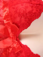 Red Sexy Draping Mesh and Lace Babydoll Set by My Secret Drawer® mysecretdrawer.at 32